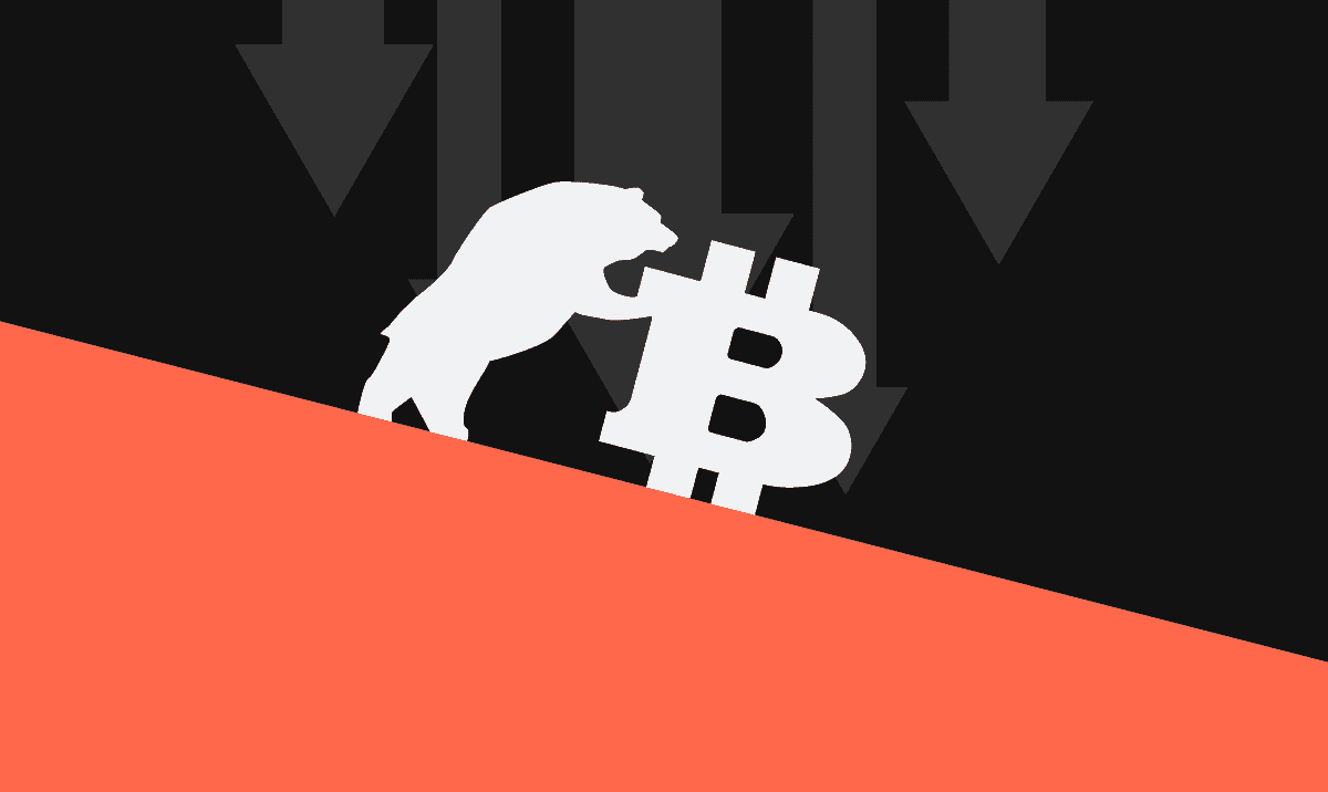 5 Things to Do in a Crypto Bear Market