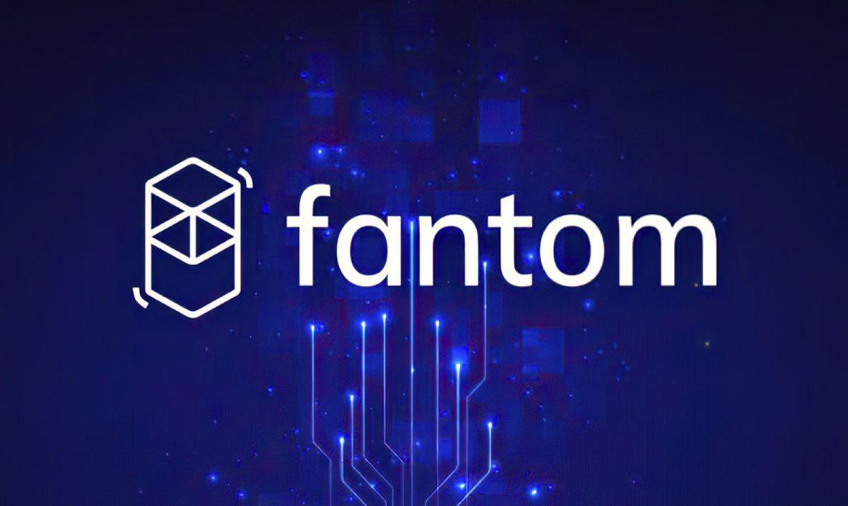 Does Fantom crypto have a future?, What is Fantom coin used for?