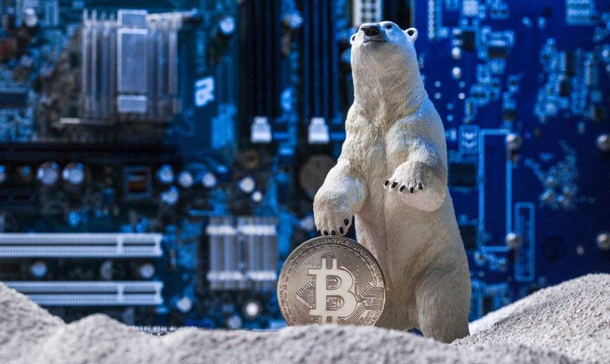is crypto winter over