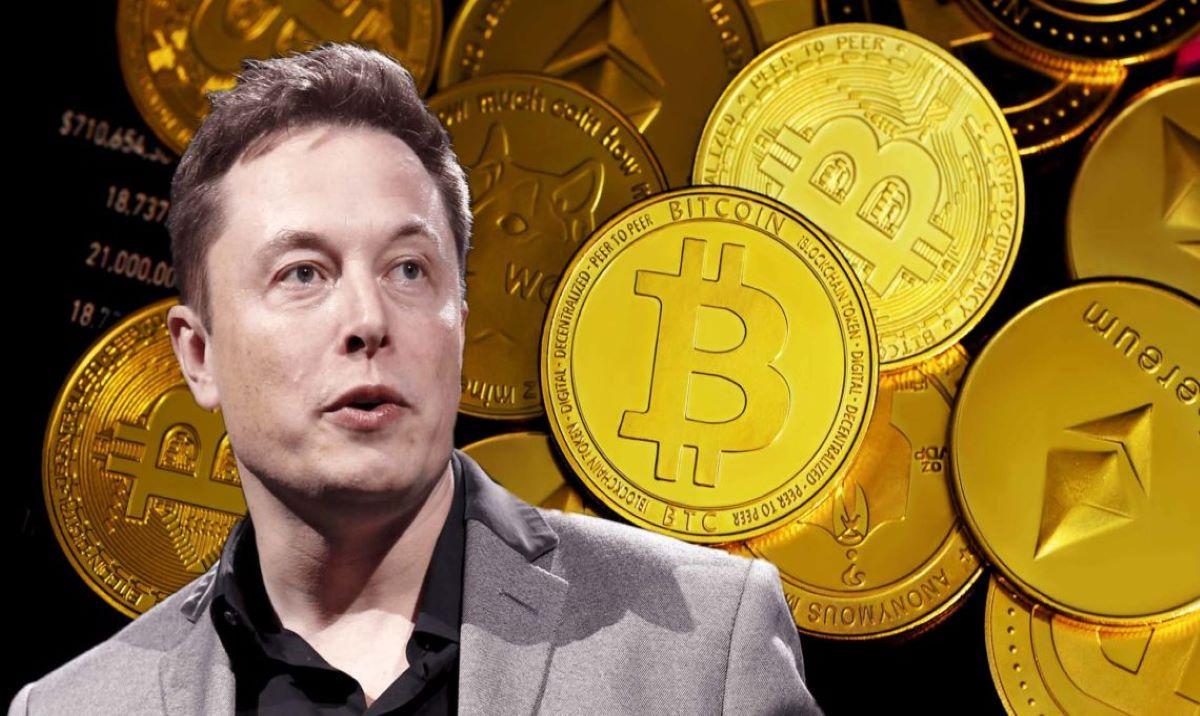 what is elon musk crypto