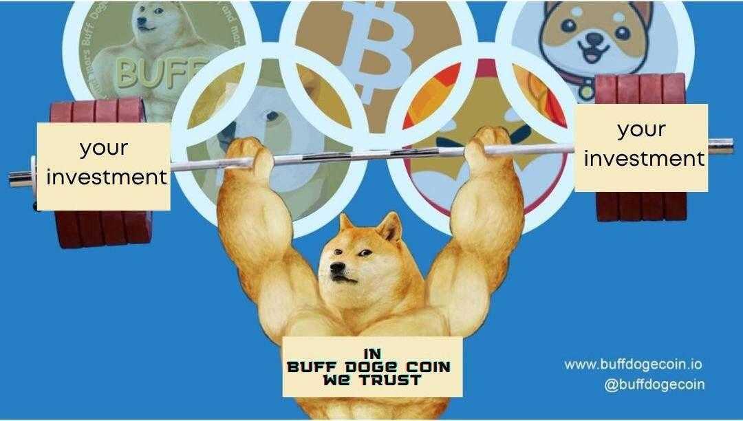 Buff Doge Coin VS Dogecoin, What Are The Differences?