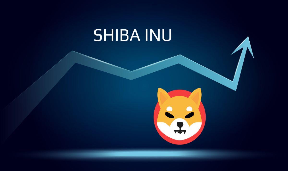 Shiba inu coin projected growth jforex strategies examples of metaphors